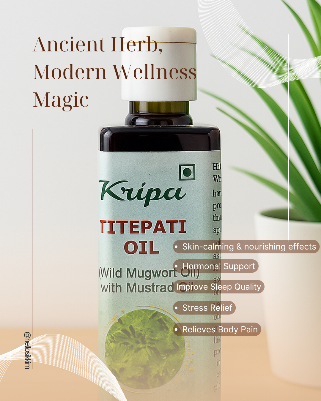 natural extracted olive oil natural extracted olive oil