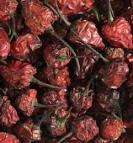 Red,round,hot Dry dalli chilli