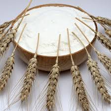 millet flour millet flour